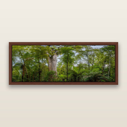 Cathedral of Green, Ancient Kauri, Dargaville — framed metallic canvas print, Brown frame. New Zealand fine art landscape wall art by Stephen Milner.