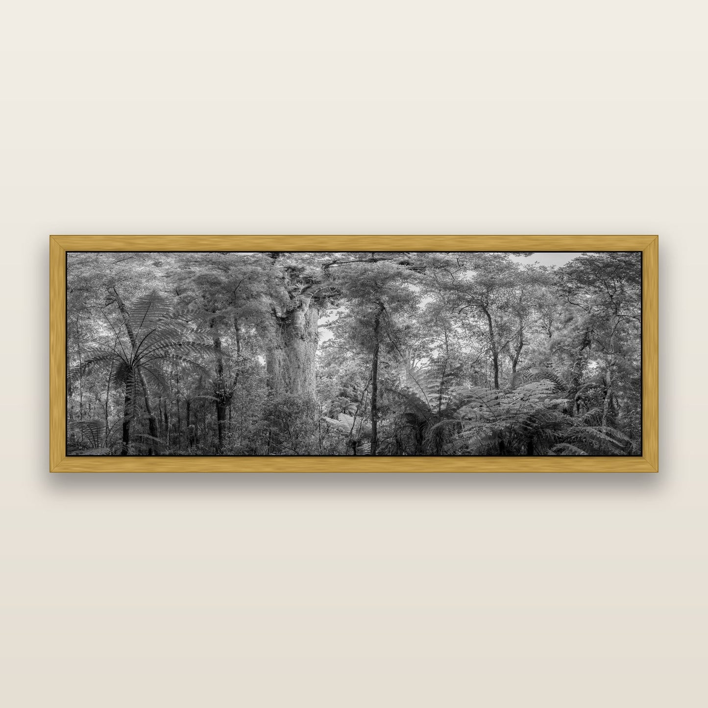 Cathedral of Giants, Ancient Kauri, Dargaville, black and white framed metallic canvas print, Antique Gold frame. New Zealand fine art wall art by Stephen Milner.