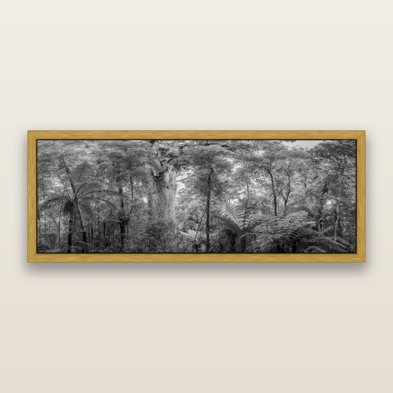 Cathedral of Giants, Ancient Kauri, Dargaville, black and white framed metallic canvas print, Antique Gold frame. New Zealand fine art wall art by Stephen Milner.