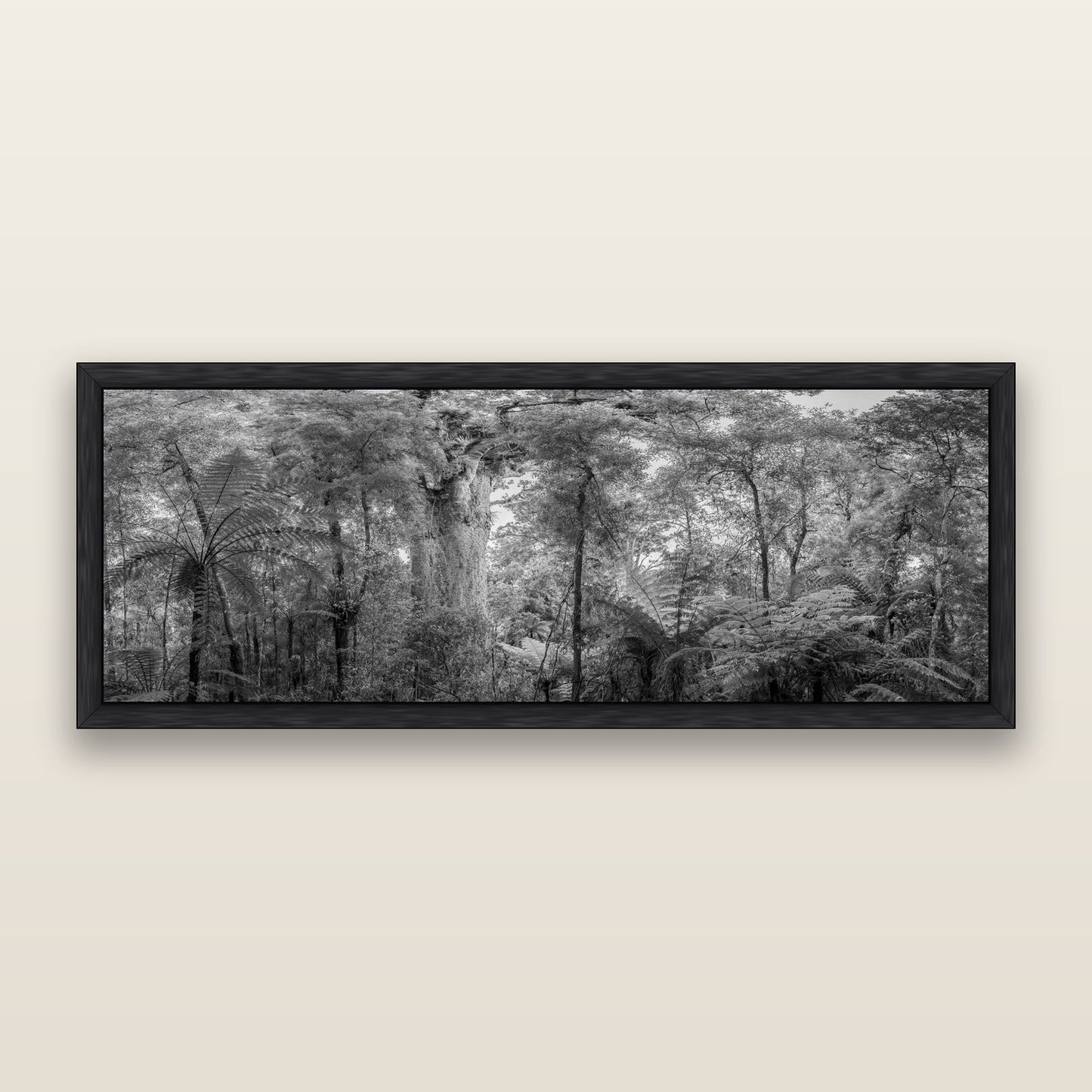 Cathedral of Giants, Ancient Kauri, Dargaville, black and white framed metallic canvas print, Black frame. New Zealand fine art wall art by Stephen Milner.