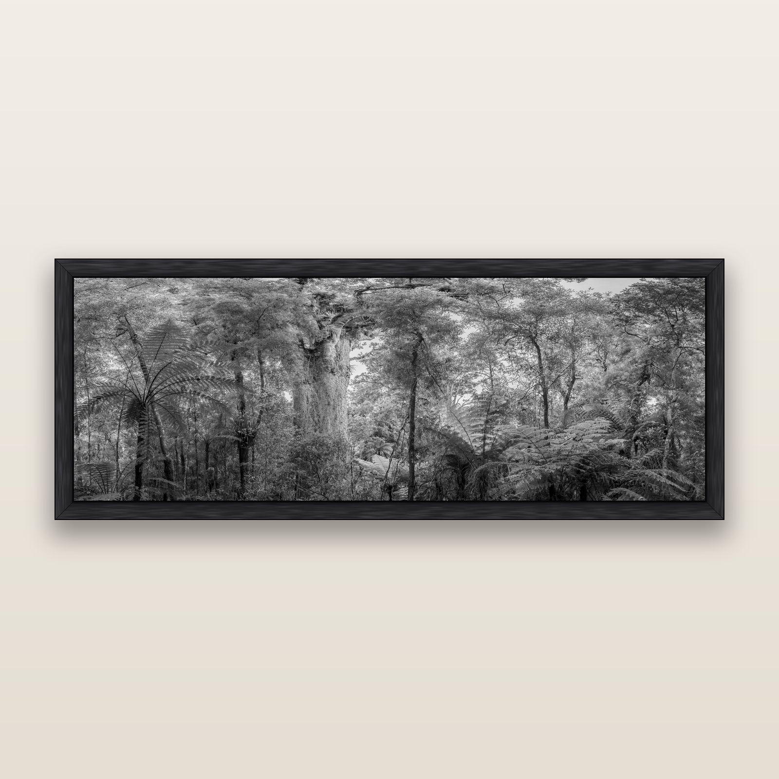 Cathedral of Giants, Ancient Kauri, Dargaville, black and white framed metallic canvas print, Black frame. New Zealand fine art wall art by Stephen Milner.