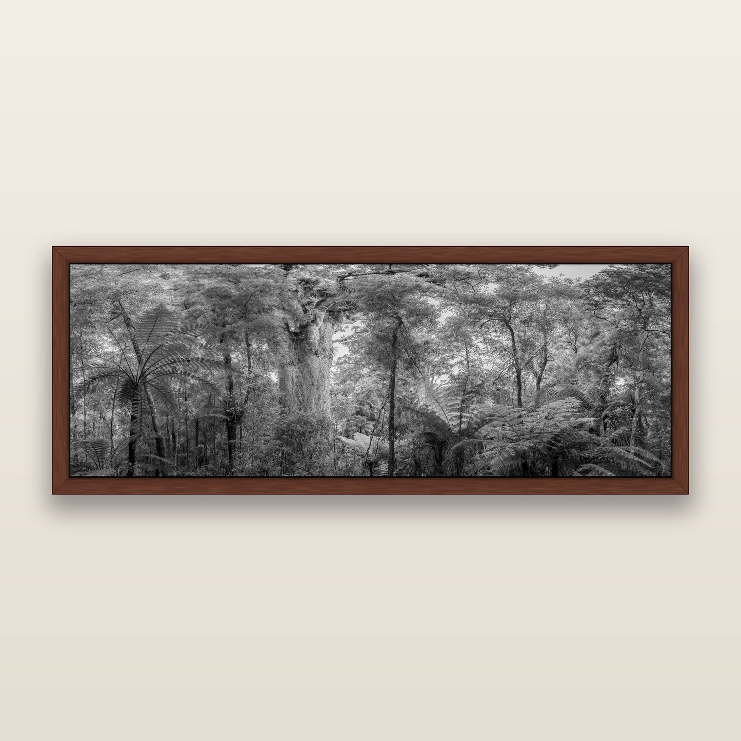 Cathedral of Giants, Ancient Kauri, Dargaville, black and white framed metallic canvas print, Brown frame. New Zealand fine art wall art by Stephen Milner.