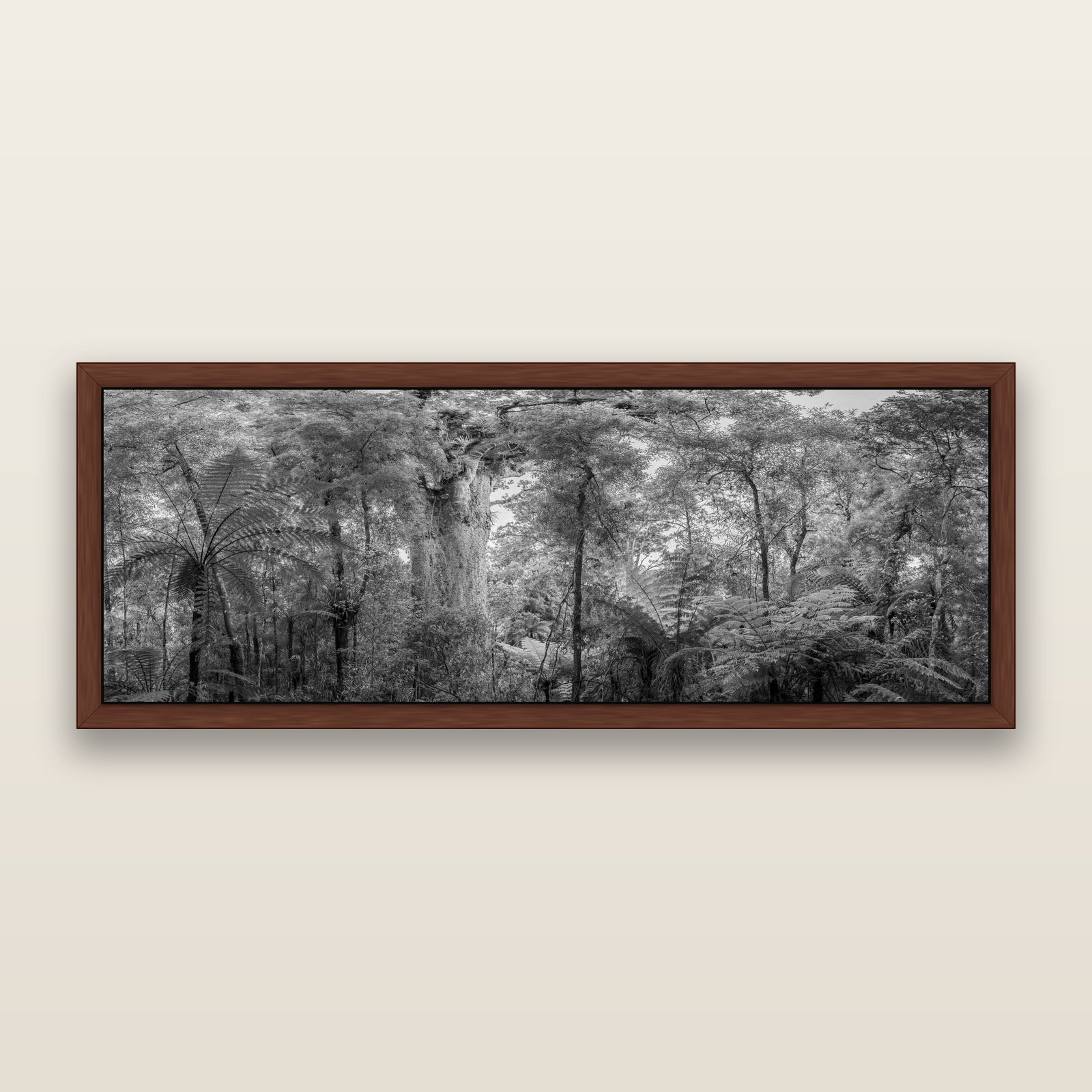 Cathedral of Giants, Ancient Kauri, Dargaville, black and white framed metallic canvas print, Brown frame. New Zealand fine art wall art by Stephen Milner.