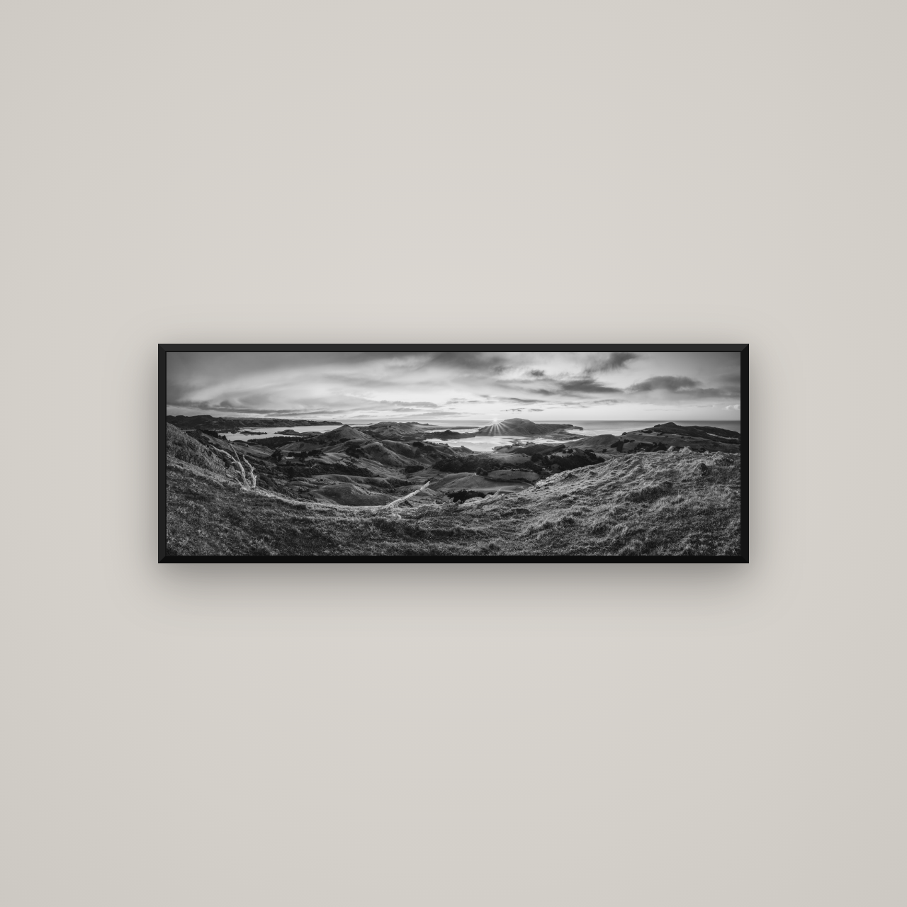 Dawn's Embrace, Otago Peninsula Panorama — Basel Black Matte, 113×40 cm. New Zealand fine art wall art by Stephen Milner.