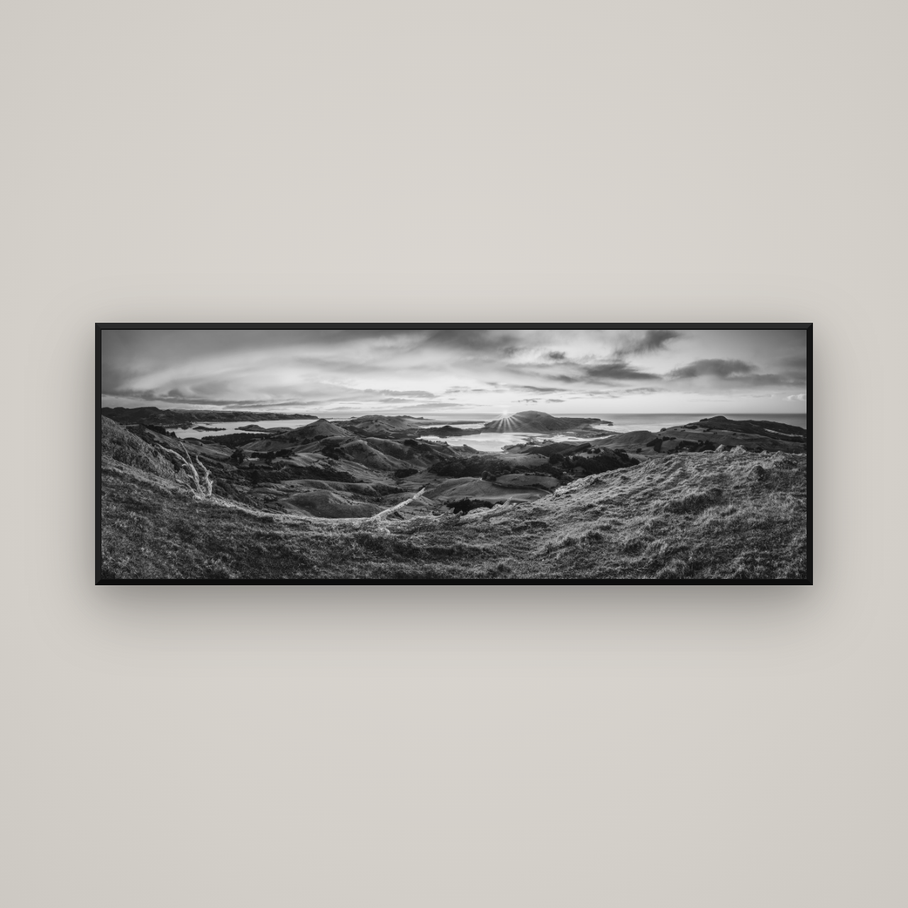 Dawn's Embrace, Otago Peninsula Panorama — Basel Black Matte, 170×60 cm. New Zealand fine art wall art by Stephen Milner.