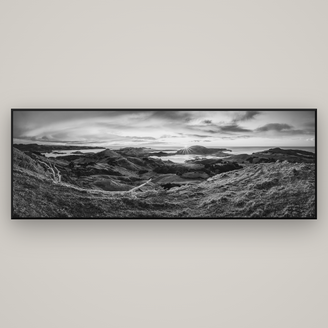 Dawn's Embrace, Otago Peninsula Panorama — Basel Black Matte, 227×80 cm. New Zealand fine art wall art by Stephen Milner.