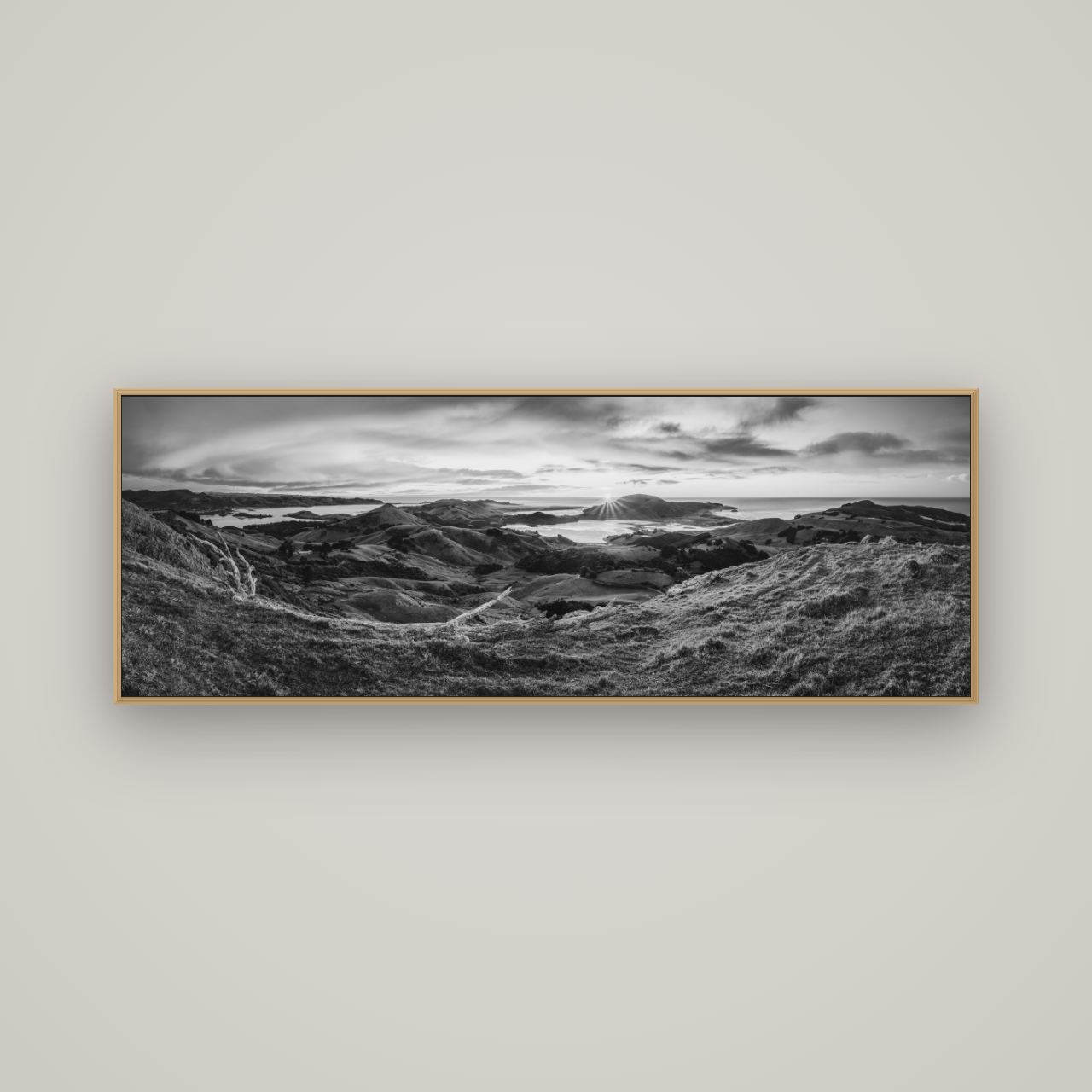 Dawn's Embrace, Otago Peninsula Panorama, Basel Natural Oak, 170×60 cm. New Zealand fine art wall art by Stephen Milner.
