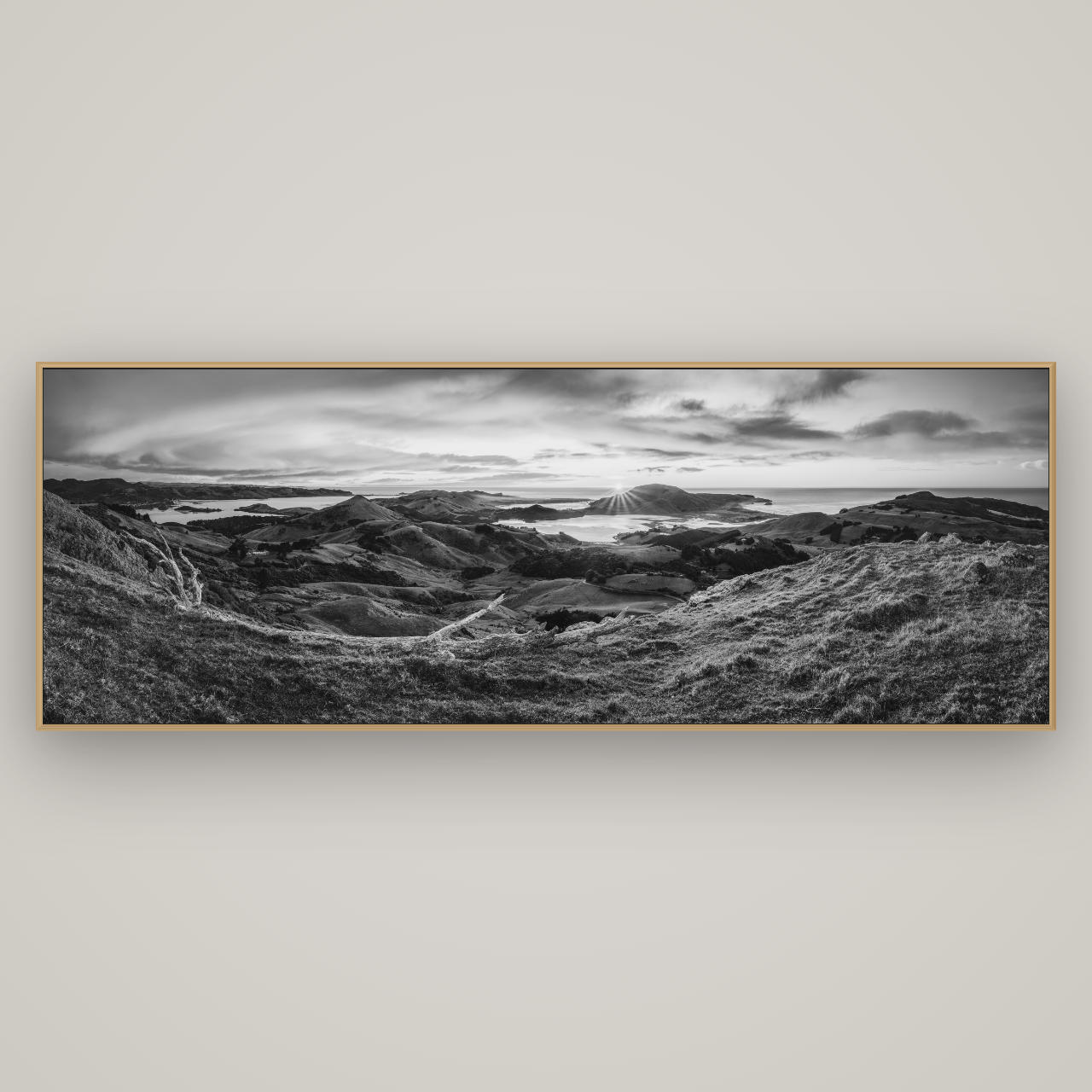 Dawn's Embrace, Otago Peninsula Panorama, Basel Natural Oak, 227×80 cm. New Zealand fine art wall art by Stephen Milner.