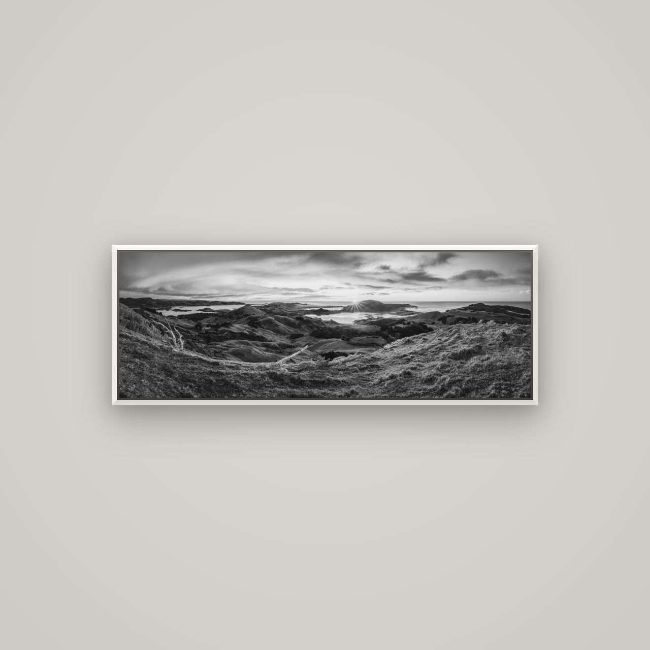 Dawn's Embrace, Otago Peninsula Panorama — Basel White, 113×40 cm. New Zealand fine art wall art by Stephen Milner.