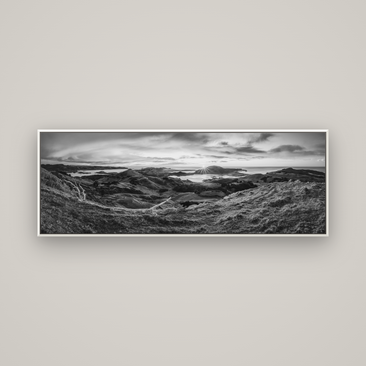 Dawn's Embrace, Otago Peninsula Panorama — Basel White, 170×60 cm. New Zealand fine art wall art by Stephen Milner.