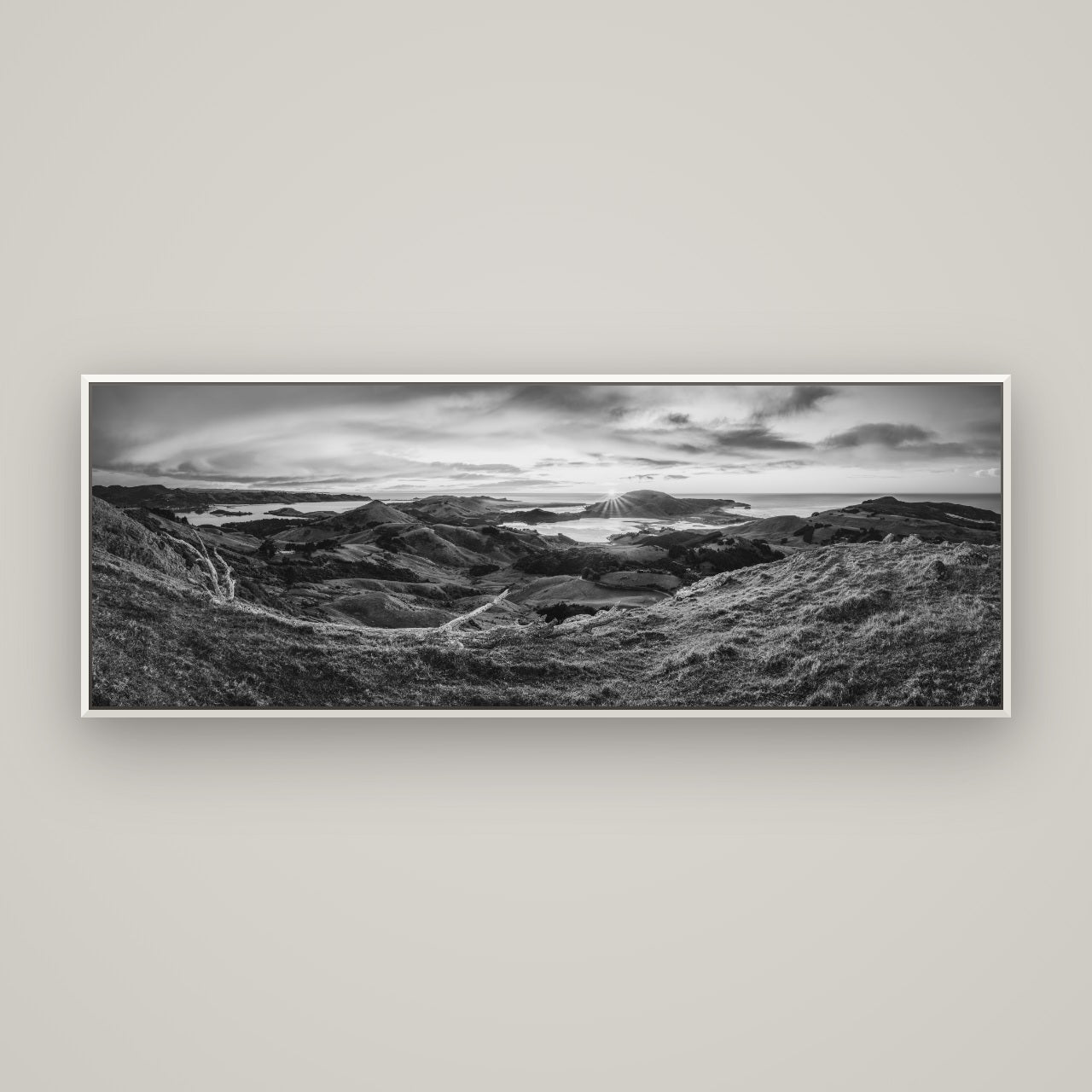 Dawn's Embrace, Otago Peninsula Panorama — Basel White, 170×60 cm. New Zealand fine art wall art by Stephen Milner.