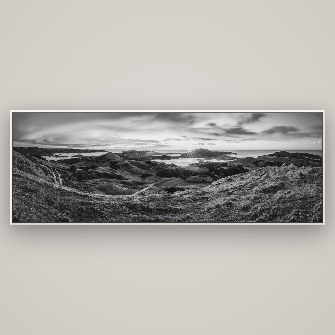 Dawn's Embrace, Otago Peninsula Panorama — Basel White, 198×70 cm. New Zealand fine art wall art by Stephen Milner.