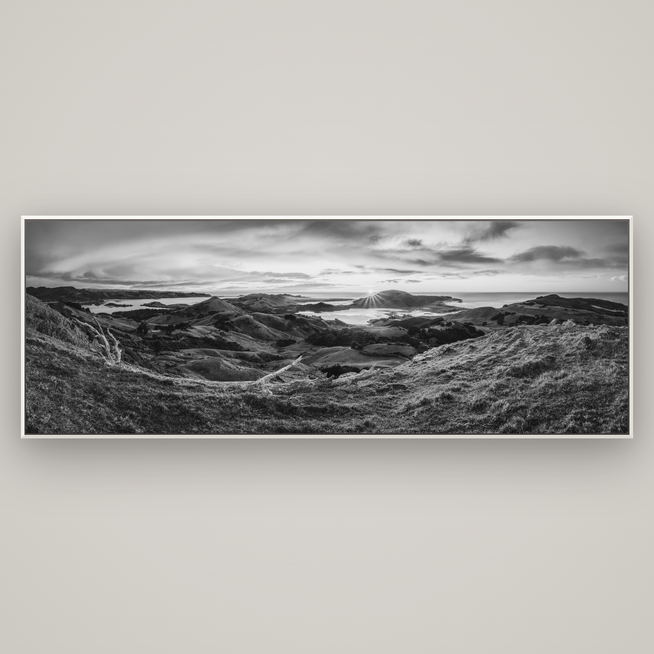 Dawn's Embrace, Otago Peninsula Panorama — Basel White, 227×80 cm. New Zealand fine art wall art by Stephen Milner.