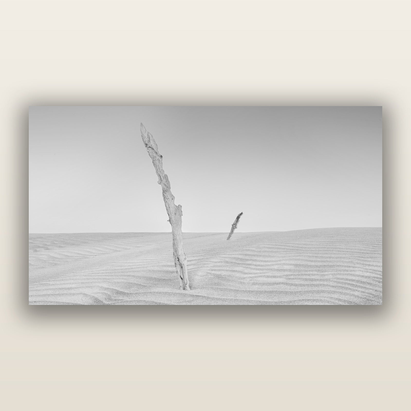 Desert Remnants, Pouto Peninsula, black and white frameless acrylic glass print. New Zealand fine art photography by Stephen Milner.