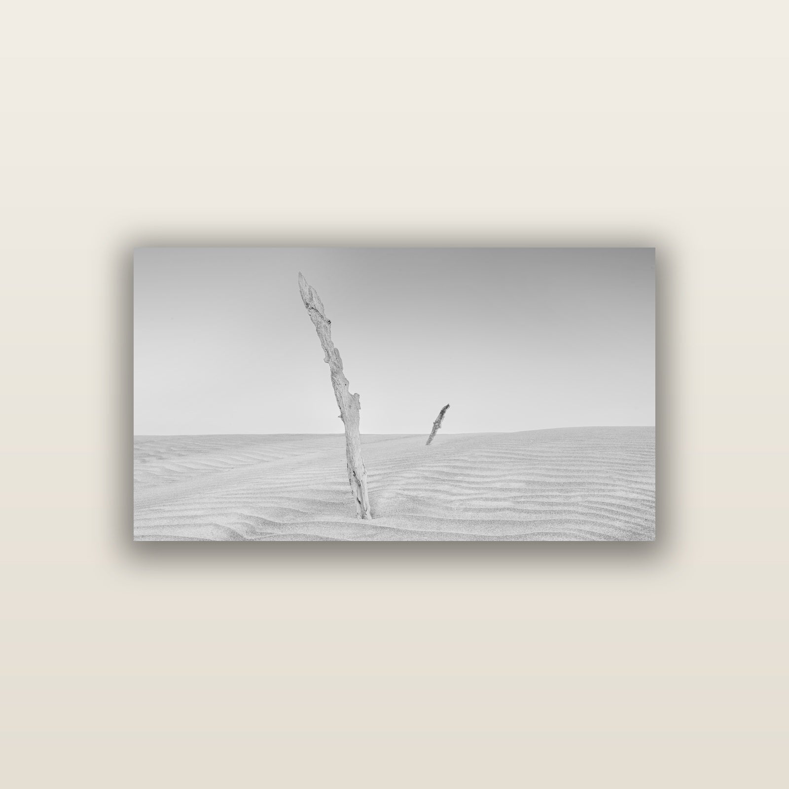 Desert Remnants, Pouto Peninsula — acrylic panel print, small 76 × 38 cm. New Zealand fine art landscape wall art by Stephen Milner.