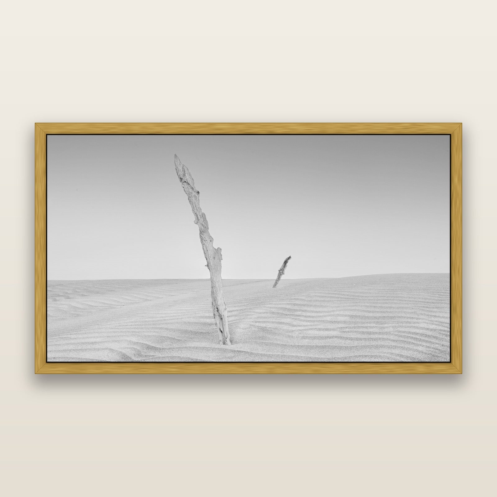 Desert Remnants, Pouto Peninsula, black and white framed metallic canvas print, Antique Gold frame. New Zealand fine art wall art by Stephen Milner.