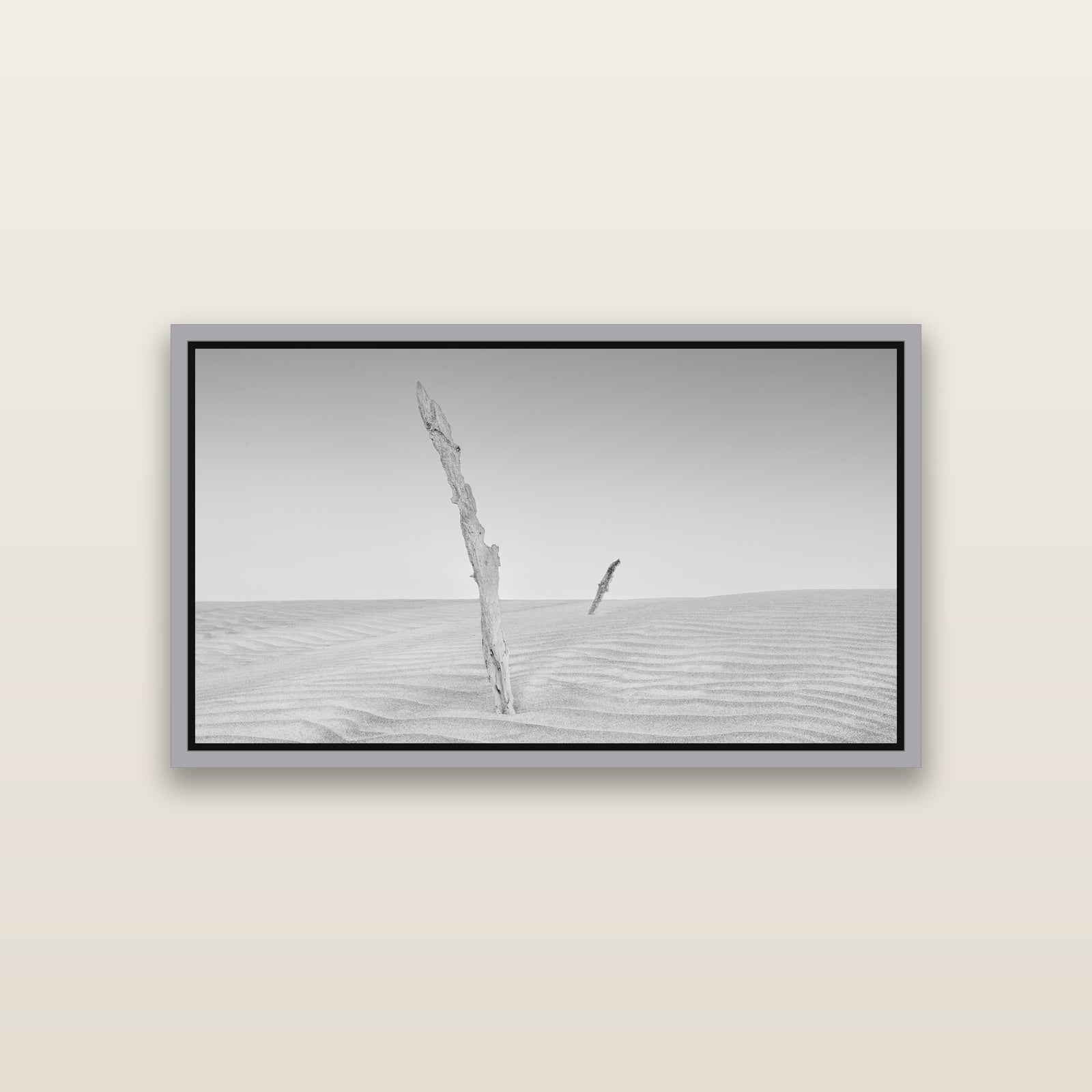 Desert Remnants, Pouto Peninsula — Antique Silver framed metallic canvas print, small 81 × 46 cm. New Zealand fine art landscape wall art by Stephen Milner.