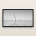 Desert Remnants, Pouto Peninsula, black and white framed metallic canvas print, Black frame. New Zealand fine art wall art by Stephen Milner.