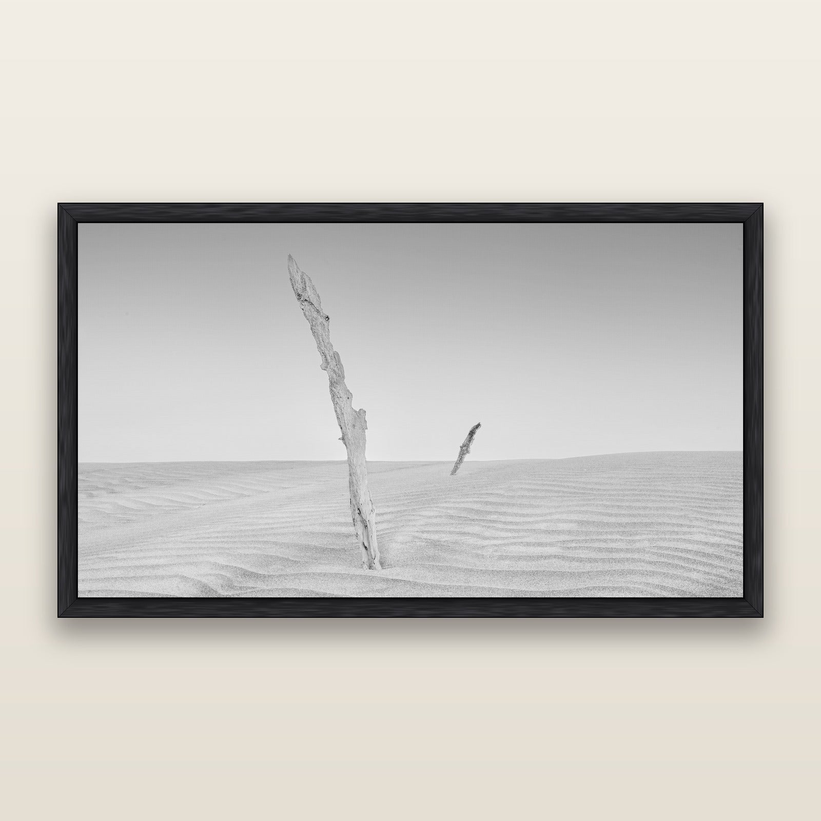 Desert Remnants, Pouto Peninsula, black and white framed metallic canvas print, Black frame. New Zealand fine art wall art by Stephen Milner.