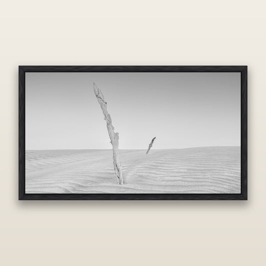 Desert Remnants, Pouto Peninsula, black and white framed metallic canvas print, Black frame. New Zealand fine art wall art by Stephen Milner.
