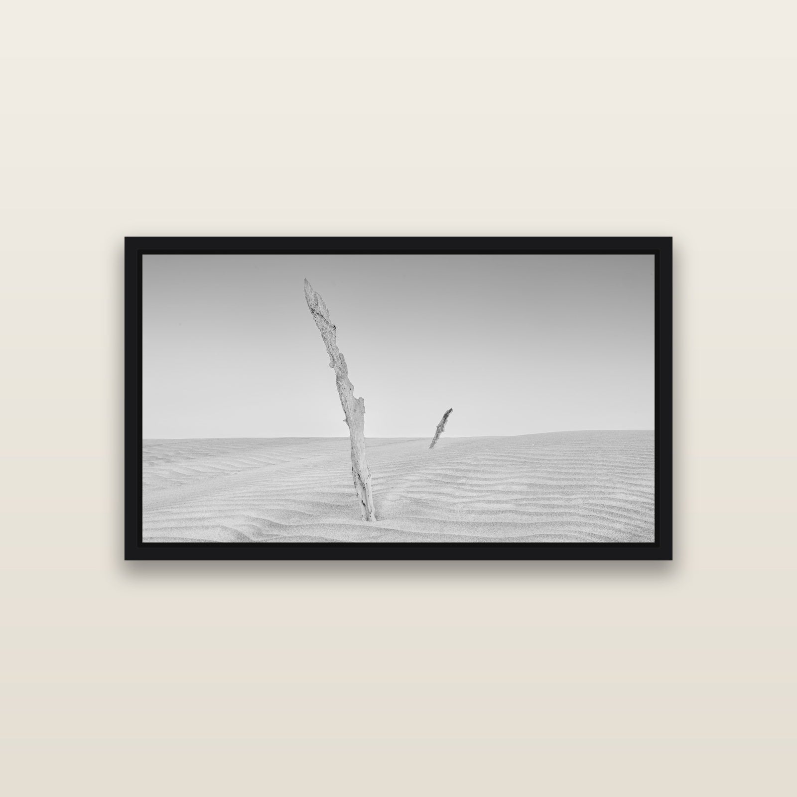 Desert Remnants, Pouto Peninsula — Black framed metallic canvas print, small 81 × 46 cm. New Zealand fine art landscape wall art by Stephen Milner.