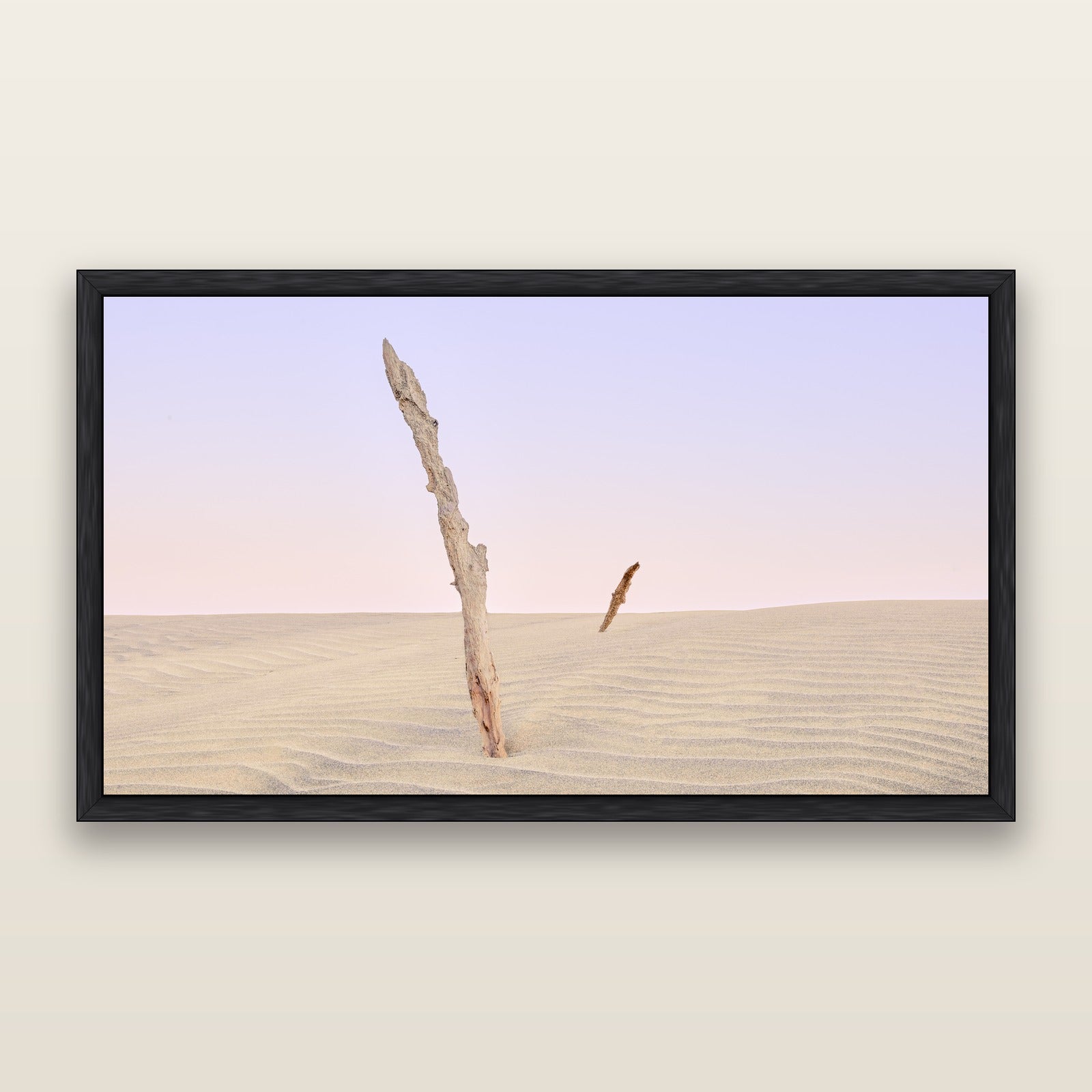 Desert Remnants, Pouto Peninsular — framed metallic canvas print, Black frame. New Zealand fine art landscape wall art by Stephen Milner.