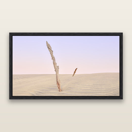 Desert Remnants, Pouto Peninsular — framed metallic canvas print, Black frame. New Zealand fine art landscape wall art by Stephen Milner.