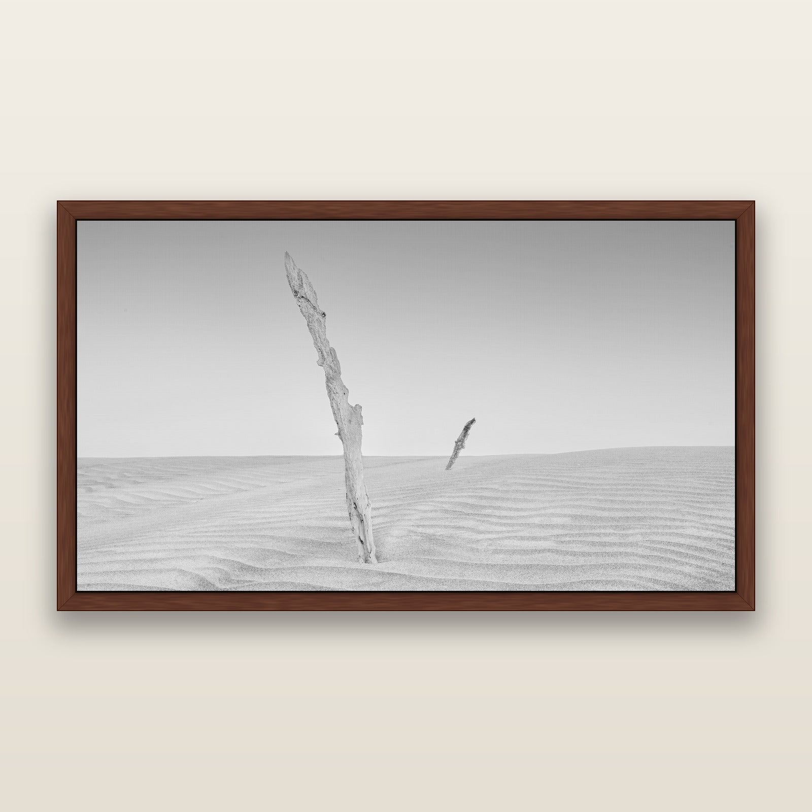 Desert Remnants, Pouto Peninsula, black and white framed metallic canvas print, Brown frame. New Zealand fine art wall art by Stephen Milner.