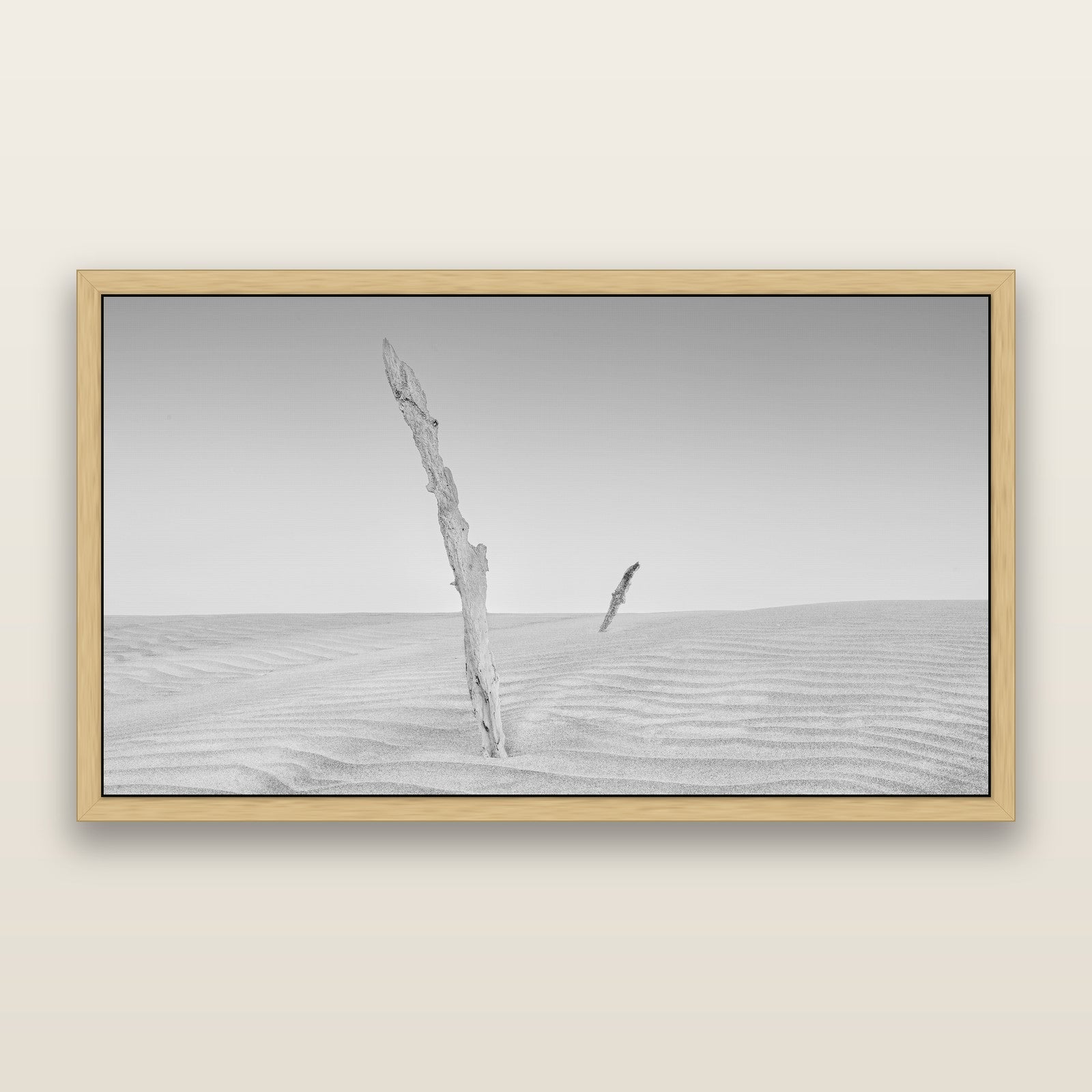 Desert Remnants, Pouto Peninsula, black and white framed metallic canvas print, Natural frame. New Zealand fine art wall art by Stephen Milner.