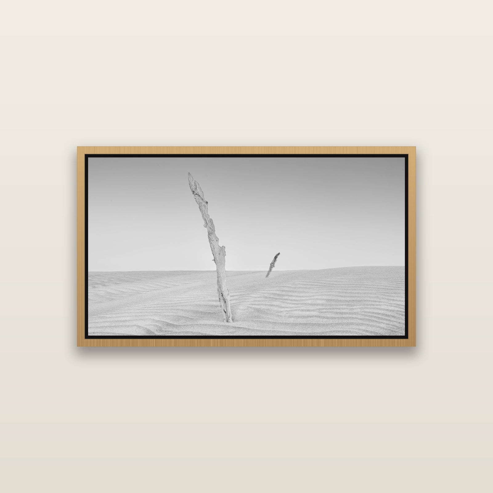 Desert Remnants, Pouto Peninsula — Natural framed metallic canvas print, small 81 × 46 cm. New Zealand fine art landscape wall art by Stephen Milner.