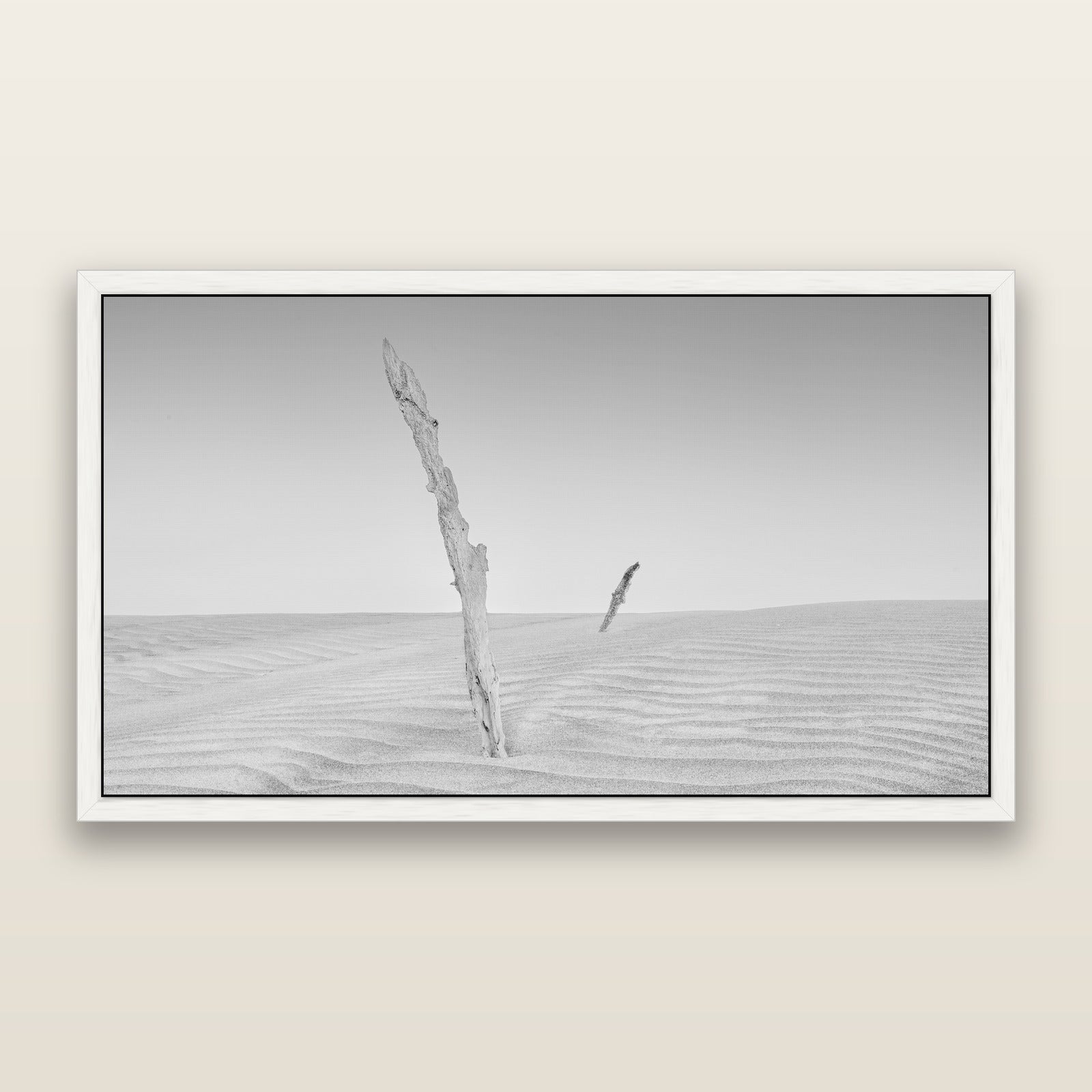 Desert Remnants, Pouto Peninsula, black and white framed metallic canvas print, White frame. New Zealand fine art wall art by Stephen Milner.