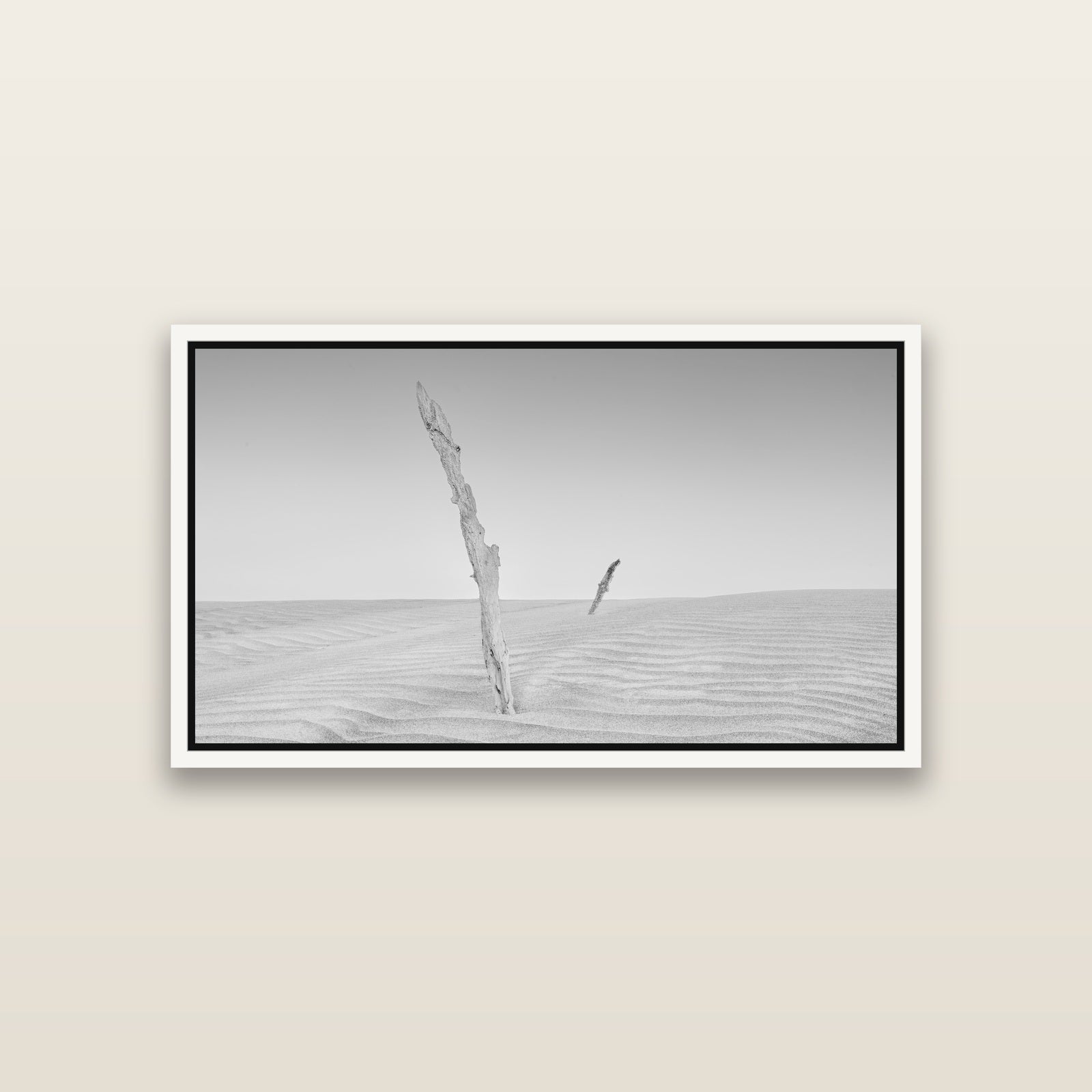 Desert Remnants, Pouto Peninsula — White framed metallic canvas print, small 81 × 46 cm. New Zealand fine art landscape wall art by Stephen Milner.