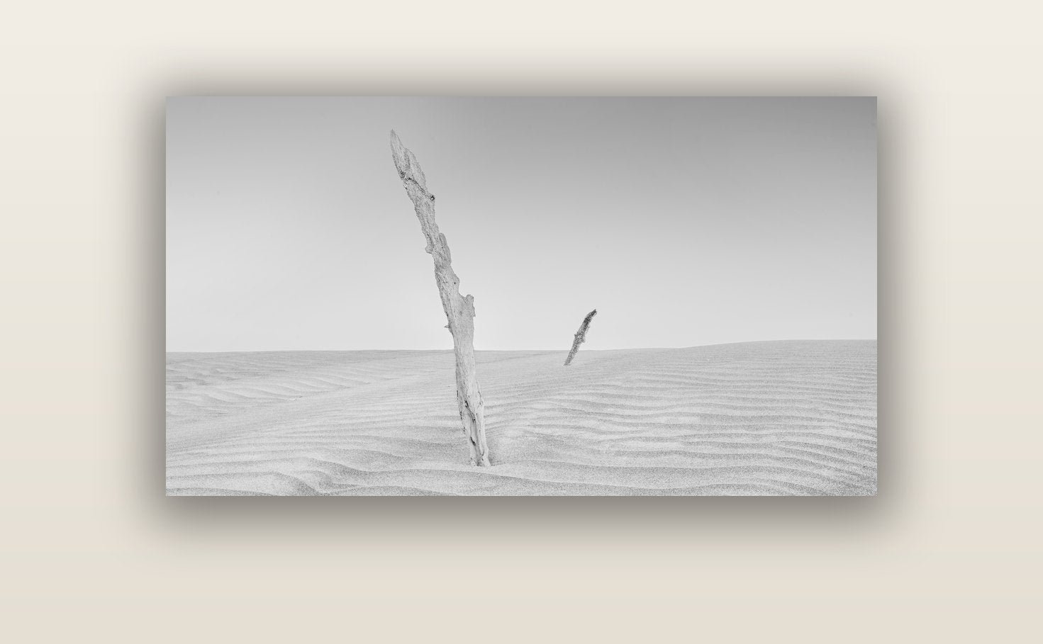 Desert Remnants, Pouto Peninsula — acrylic glass print, 122 × 61 cm. New Zealand fine art landscape wall art by Stephen Milner.