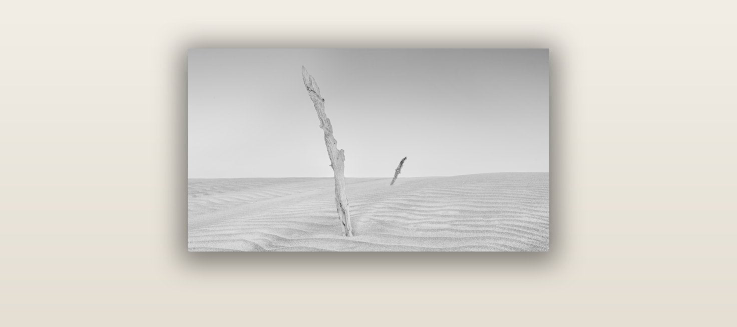 Desert Remnants, Pouto Peninsula — acrylic glass print, 61 × 30 cm. New Zealand fine art landscape wall art by Stephen Milner.