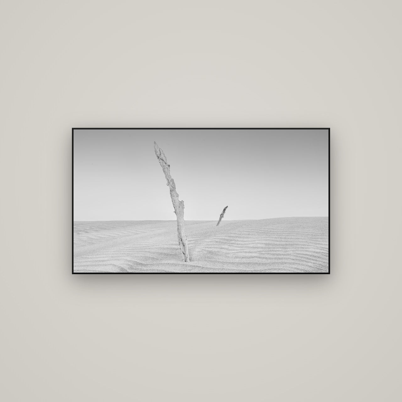 Desert Remnants, Pouto Peninsula — ArtBox Black, 107×60 cm. New Zealand fine art wall art by Stephen Milner.