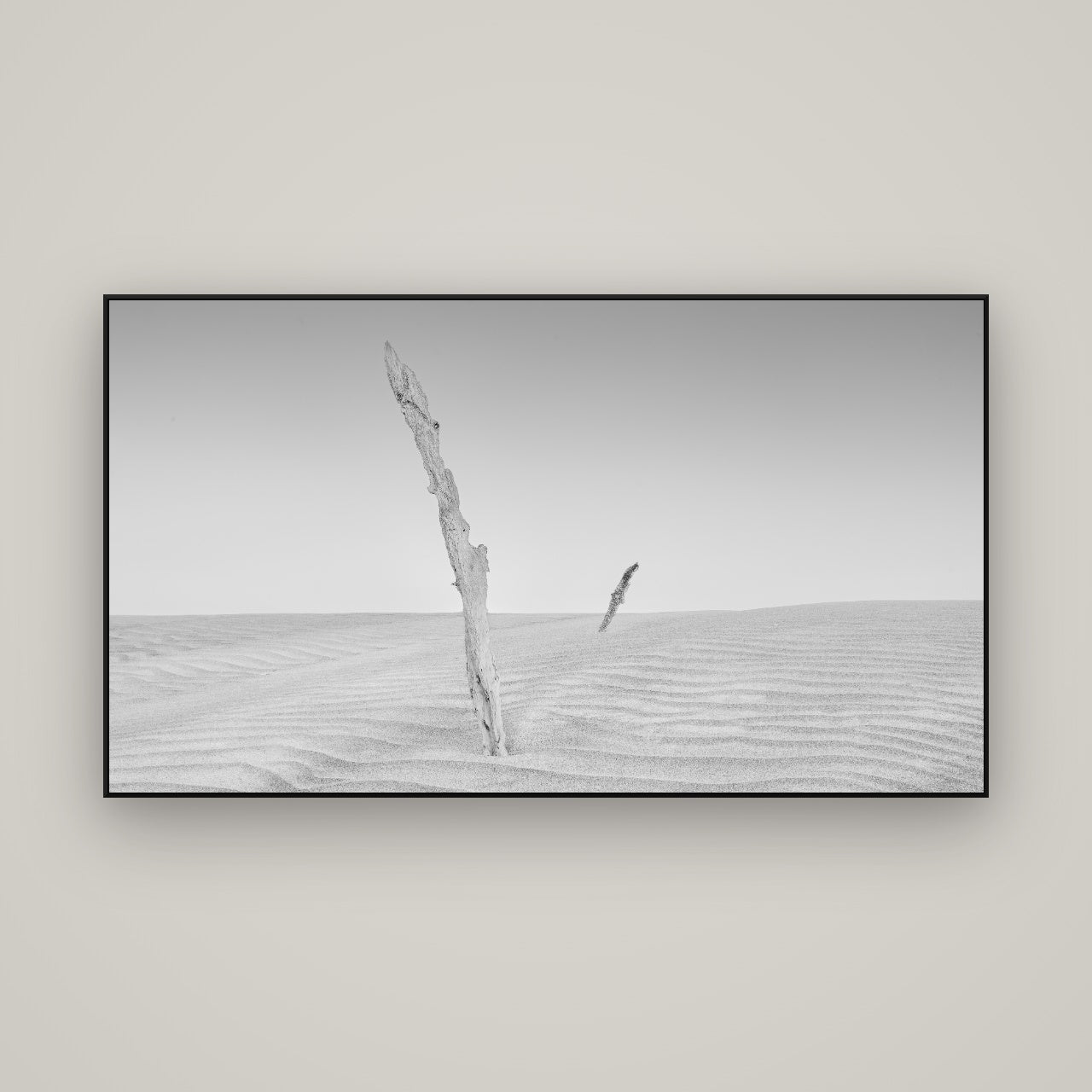 Desert Remnants, Pouto Peninsula — ArtBox Black, 160×90 cm. New Zealand fine art wall art by Stephen Milner.