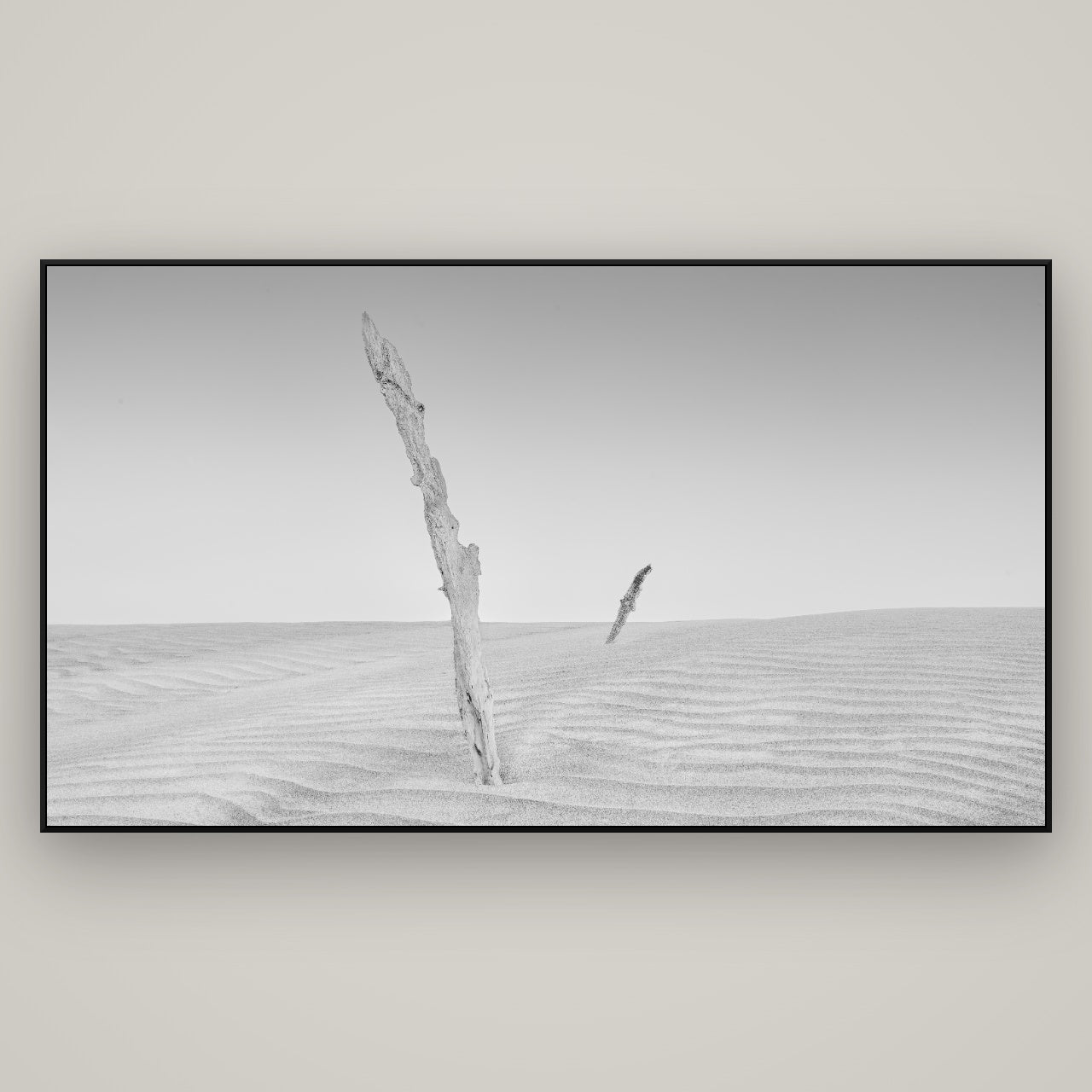 Desert Remnants, Pouto Peninsula — ArtBox Black, 196×110 cm. New Zealand fine art wall art by Stephen Milner.