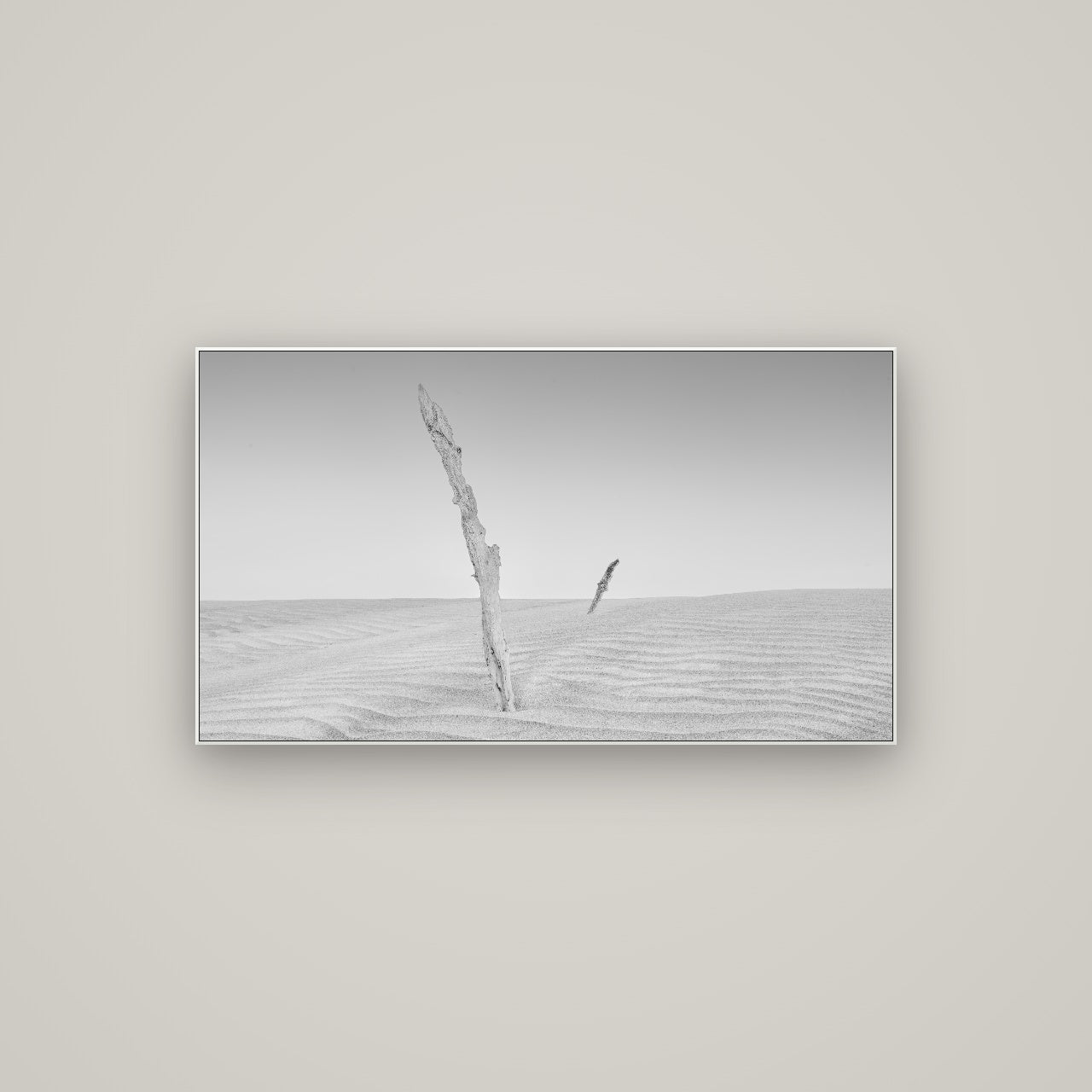 Desert Remnants, Pouto Peninsula — ArtBox White, 107×60 cm. New Zealand fine art wall art by Stephen Milner.