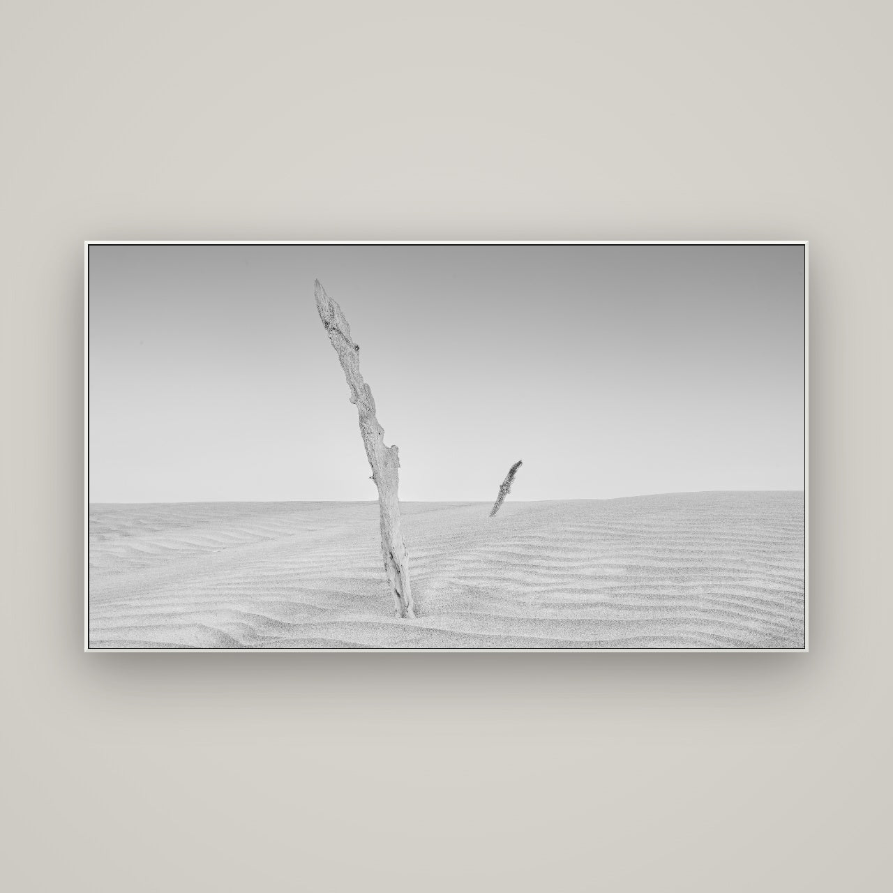 Desert Remnants, Pouto Peninsula — ArtBox White, 160×90 cm. New Zealand fine art wall art by Stephen Milner.