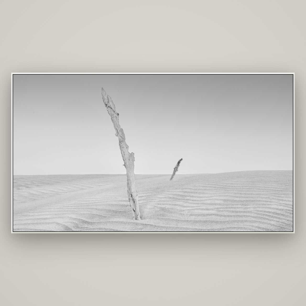 Desert Remnants, Pouto Peninsula — ArtBox White, 196×110 cm. New Zealand fine art wall art by Stephen Milner.