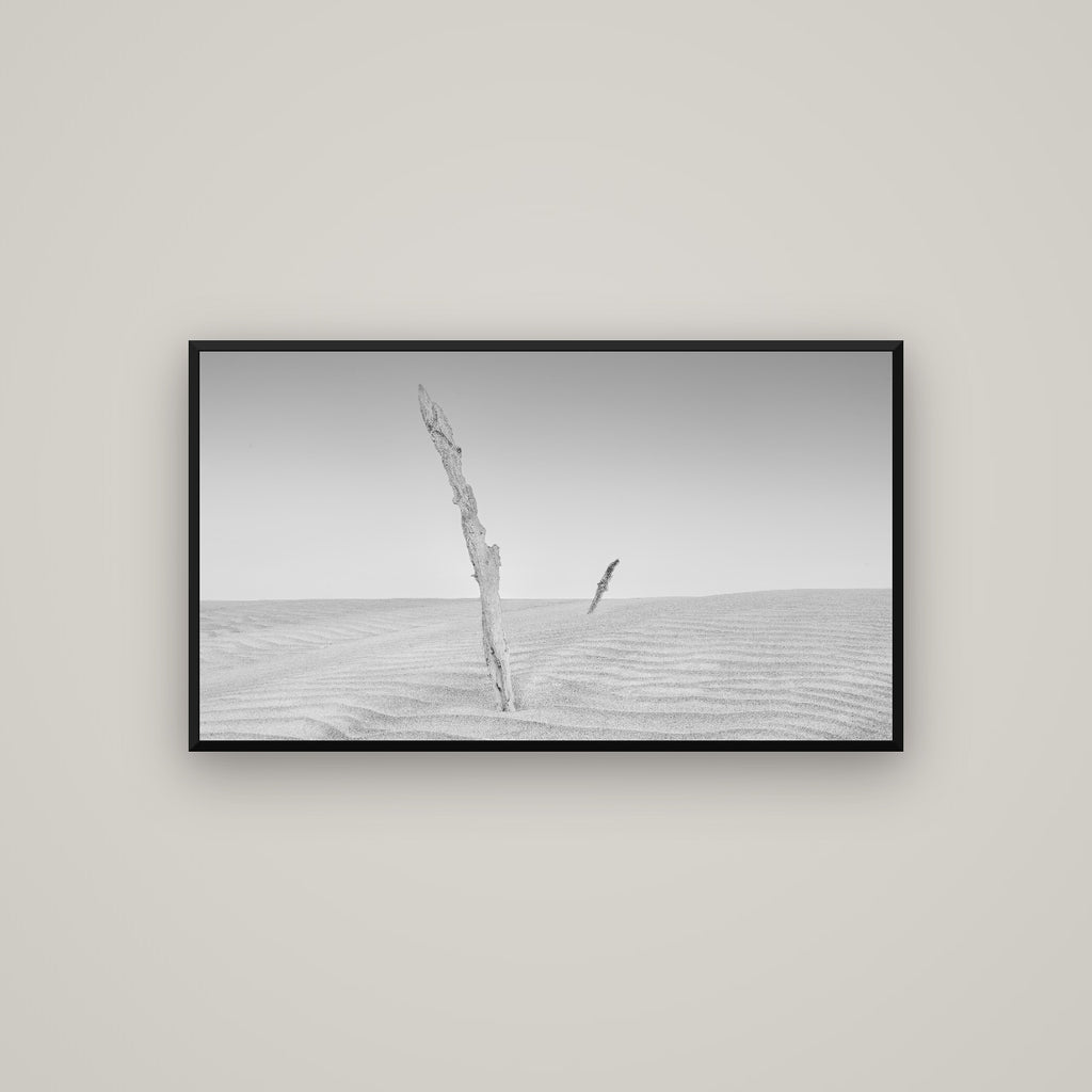 Desert Remnants, Pouto Peninsula — Basel Black Matte, 107×60 cm. New Zealand fine art wall art by Stephen Milner.