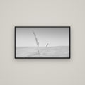 Desert Remnants, Pouto Peninsula — Basel Black, 107×60 cm. New Zealand fine art wall art by Stephen Milner.