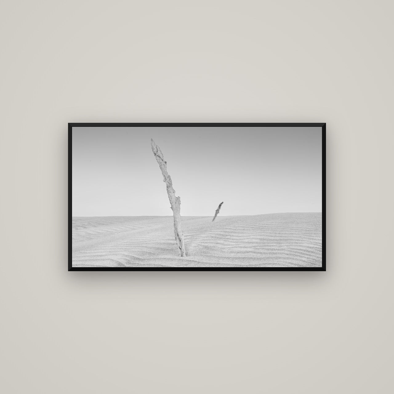 Desert Remnants, Pouto Peninsula — Basel Black, 107×60 cm. New Zealand fine art wall art by Stephen Milner.