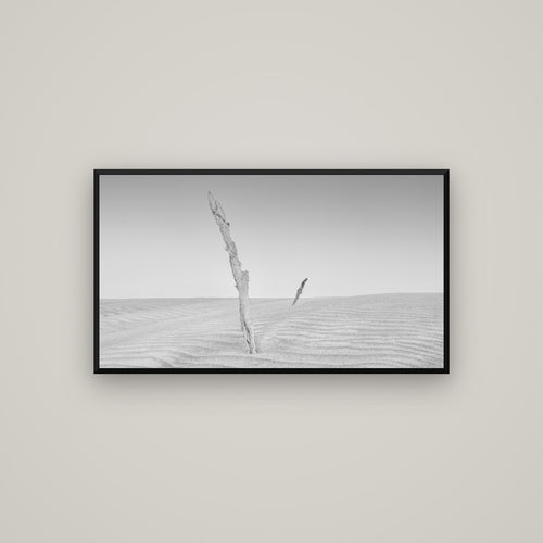Desert Remnants, Pouto Peninsula — Basel Black, 107×60 cm. New Zealand fine art wall art by Stephen Milner.