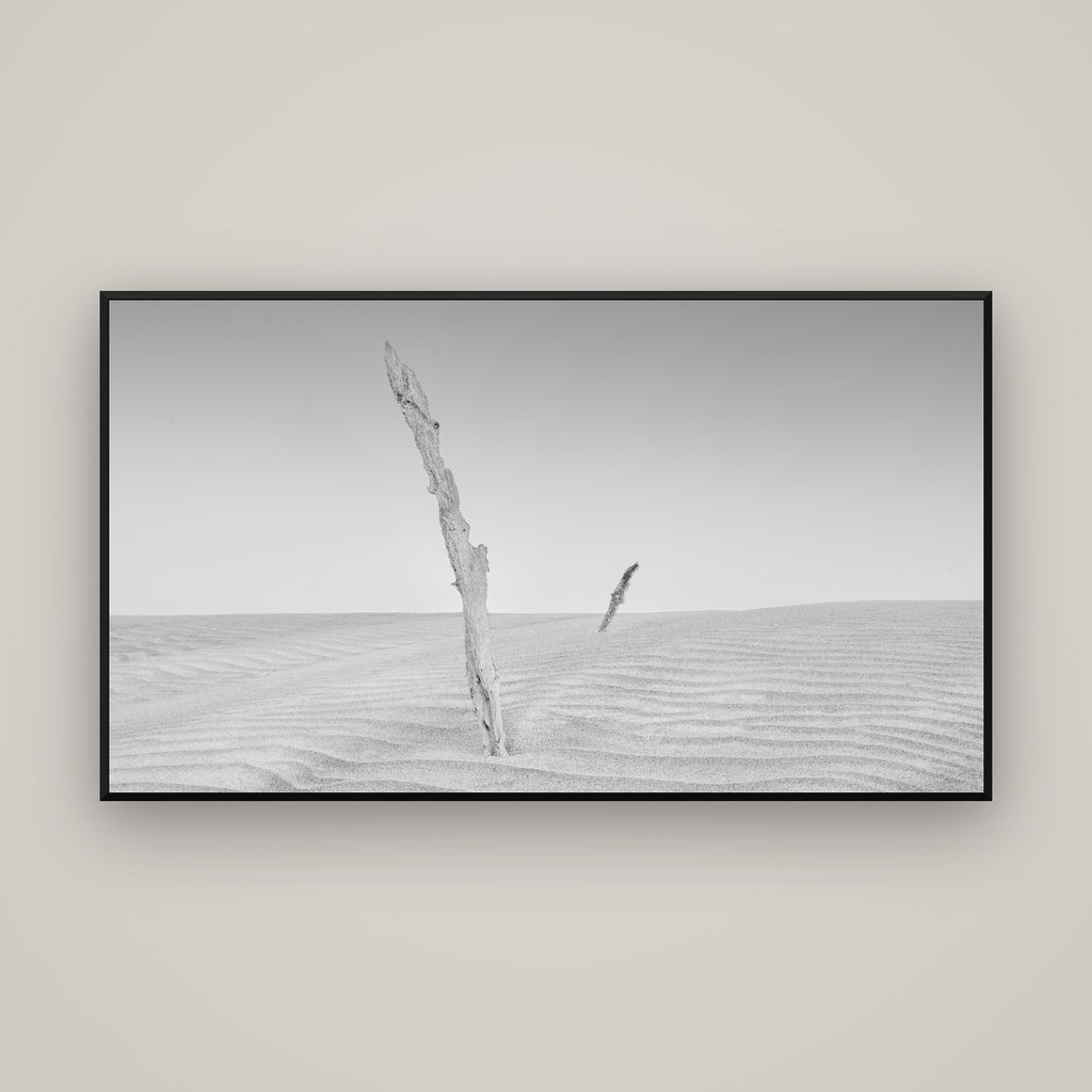Desert Remnants, Pouto Peninsula — Basel Black Matte, 160×90 cm. New Zealand fine art wall art by Stephen Milner.