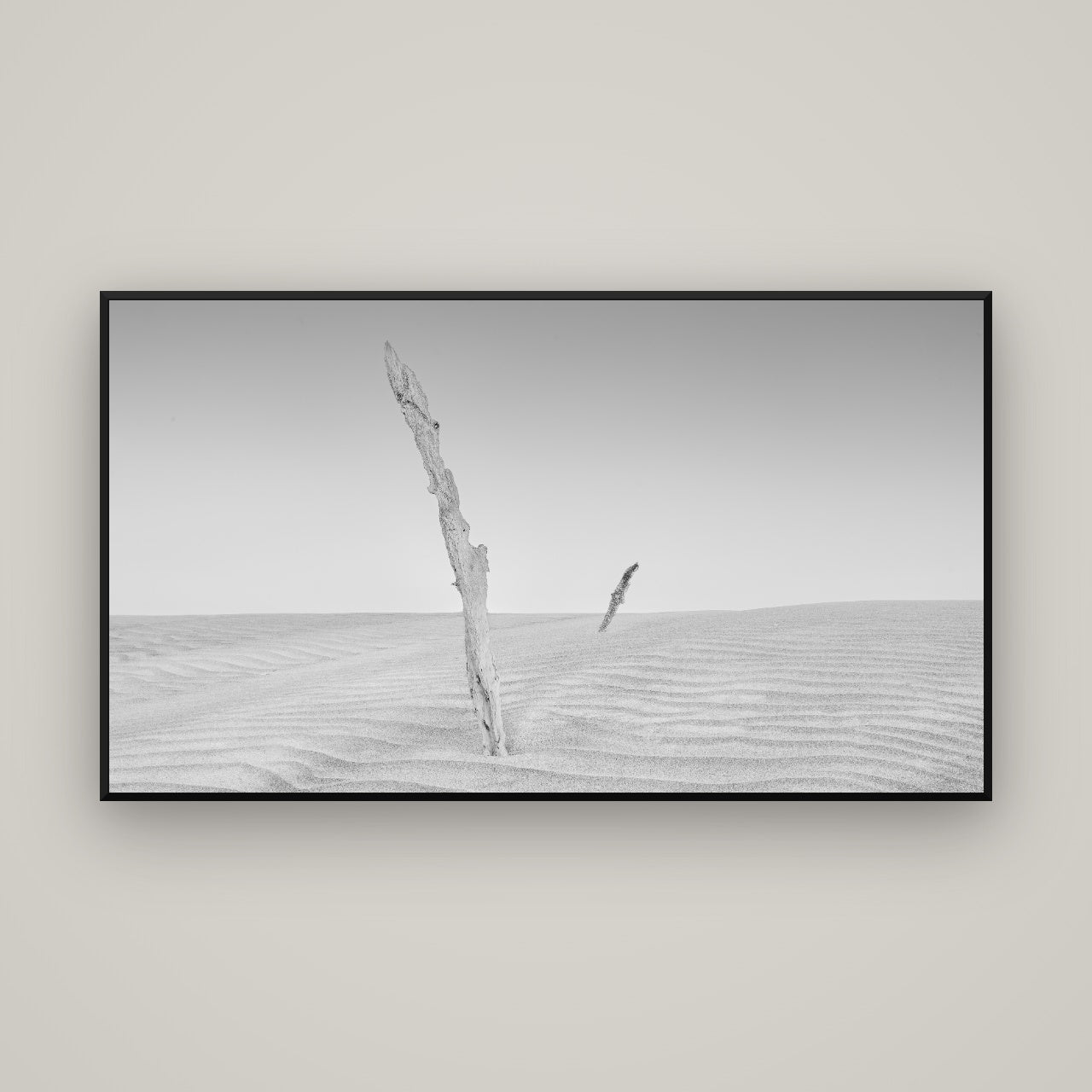 Desert Remnants, Pouto Peninsula — Basel Black, 160×90 cm. New Zealand fine art wall art by Stephen Milner.