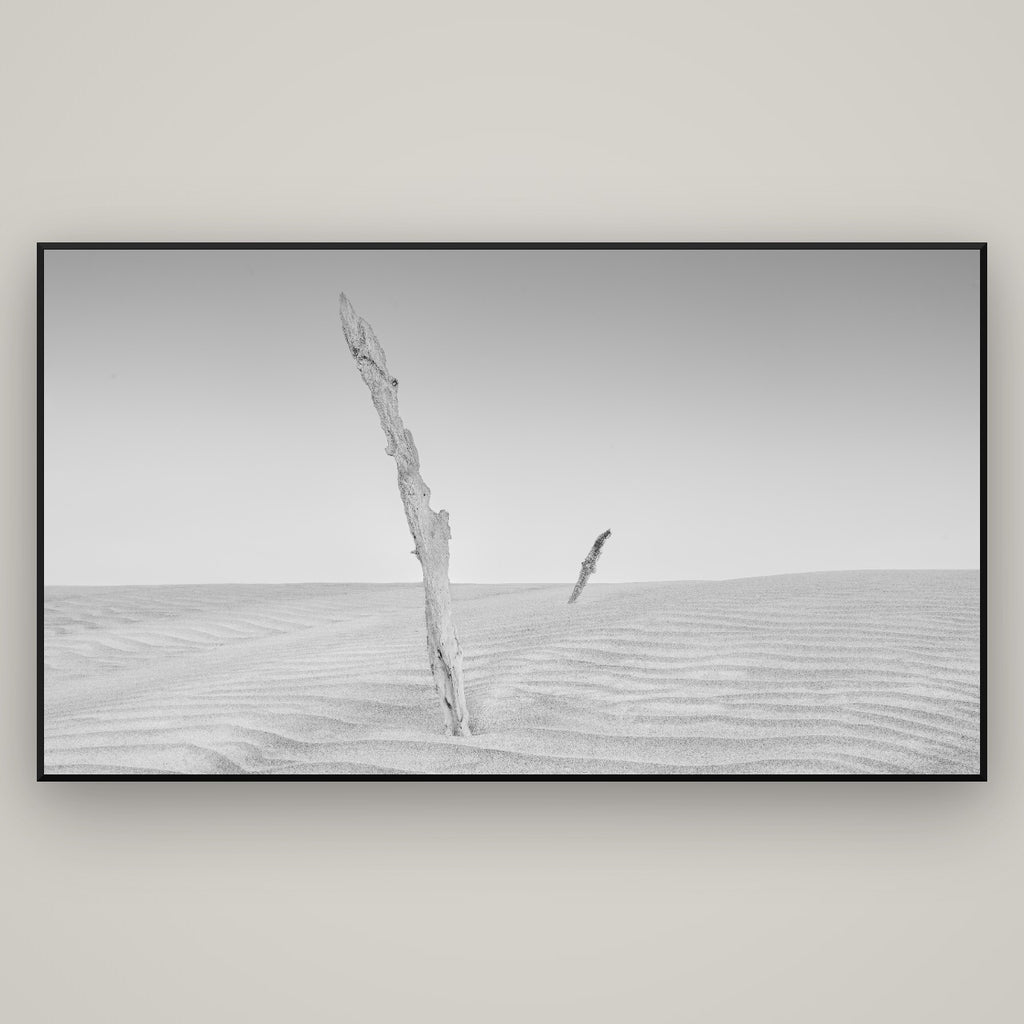 Desert Remnants, Pouto Peninsula — Basel Black Matte, 196×110 cm. New Zealand fine art wall art by Stephen Milner.