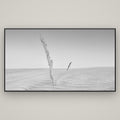 Desert Remnants, Pouto Peninsula — Basel Black, 196×110 cm. New Zealand fine art wall art by Stephen Milner.