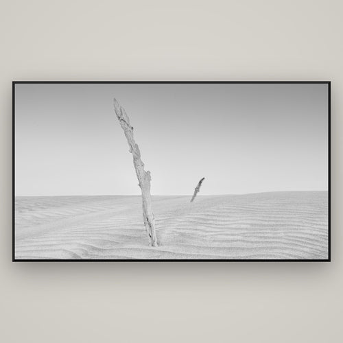 Desert Remnants, Pouto Peninsula — Basel Black, 196×110 cm. New Zealand fine art wall art by Stephen Milner.