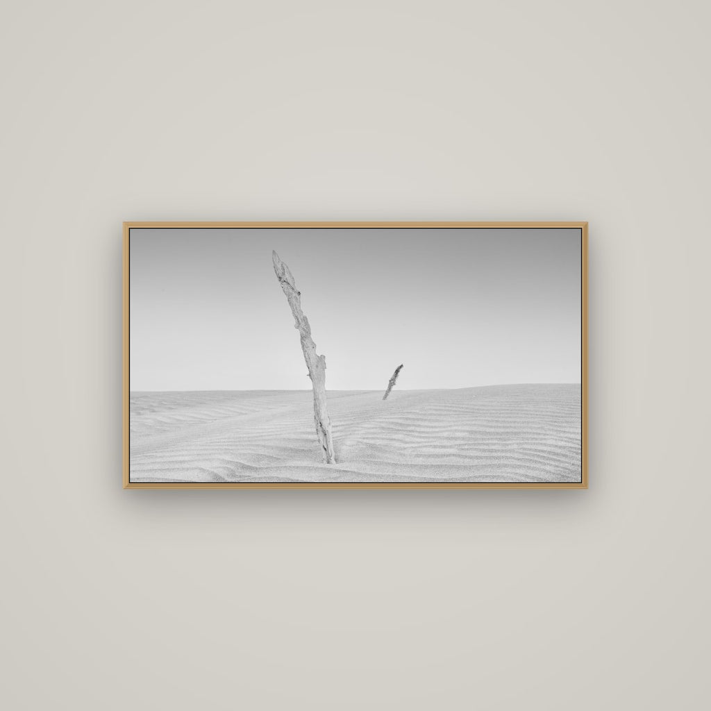 Desert Remnants, Pouto Peninsula, Basel Natural Oak, 107×60 cm. New Zealand fine art wall art by Stephen Milner.